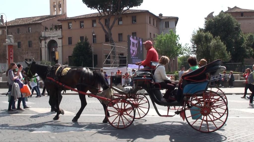 House&Colosseum Rzym Zewnętrze zdjęcie